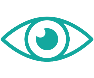 vision_icon.png